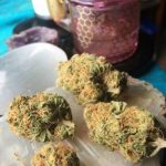 Buy Hawaii Skunk
