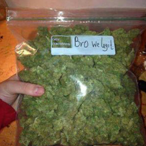 Buy Hindu Kush