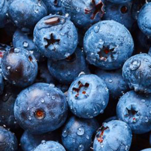 Buy Blue Berry