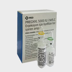 Buy Pregnyl Online