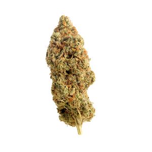Kaufen Sie Amnesia Haze online