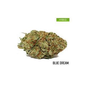 Kaufen Sie die Sorte Blue Dream online