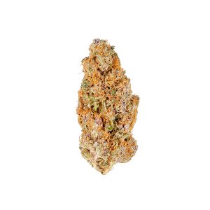 Kirsch-Gorilla-Kleber online kaufen