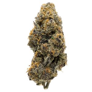 Kaufen Sie die Sorte Granddaddy Purple online