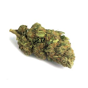 Kaufen Sie Lemon Skunk online