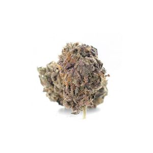 Kaufen Sie Purple Dragon Marihuana (AAAA) online