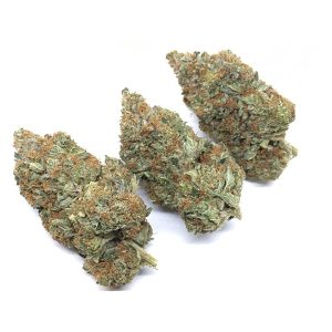 Kaufen Sie Thunfisch Kush online